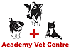 Academy Vet Centre